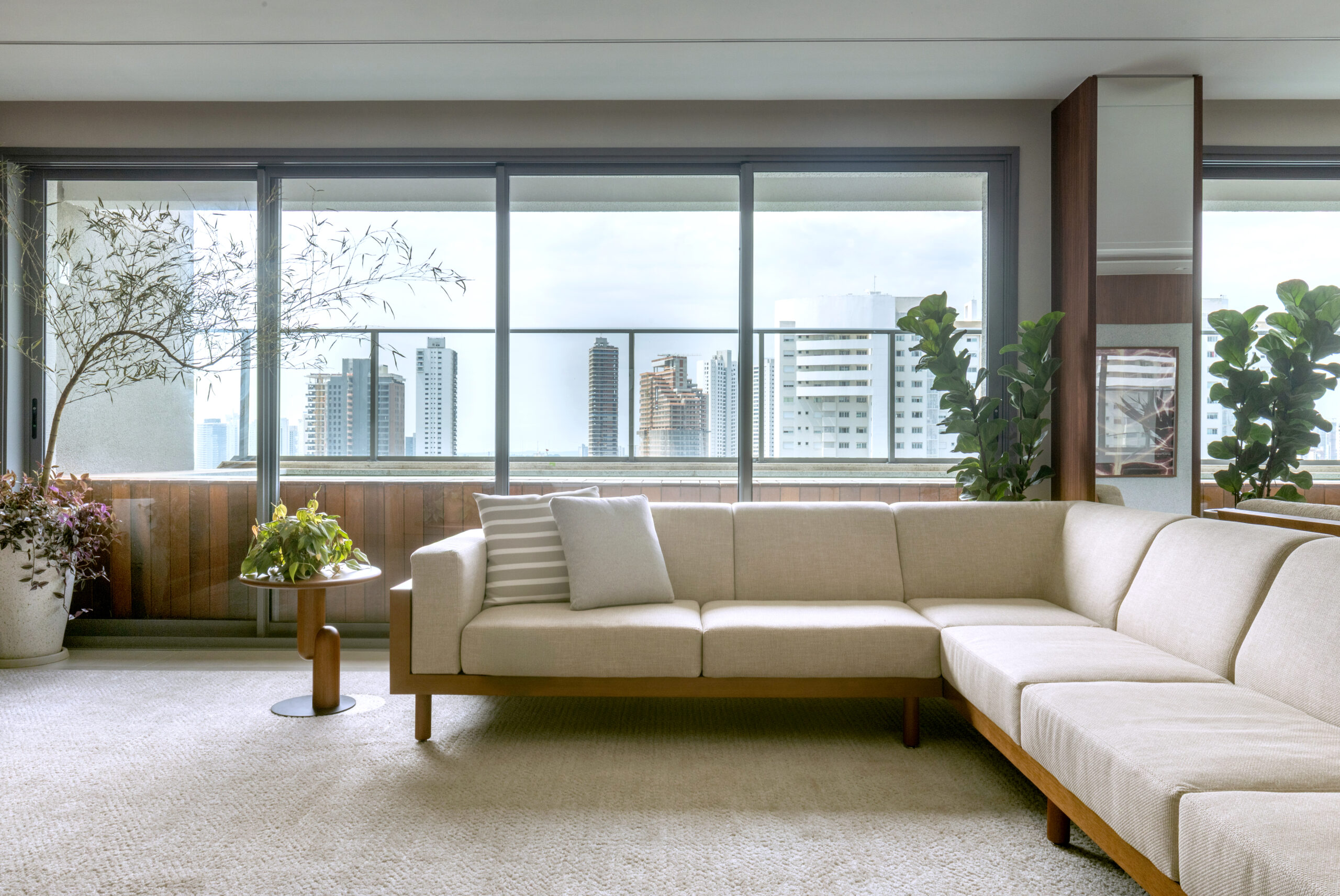 SOFÁ BRASILEIRINHO EM L (2)